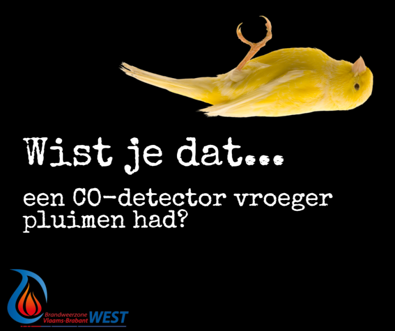 Wist Je Dat Zvbw